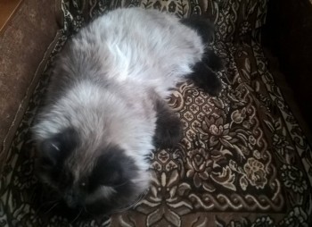 Короткие рассказики - WP_20181223_13_10_17_Pro.jpg