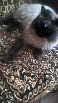 Короткие рассказики - WP_20181223_13_03_52_Pro.jpg