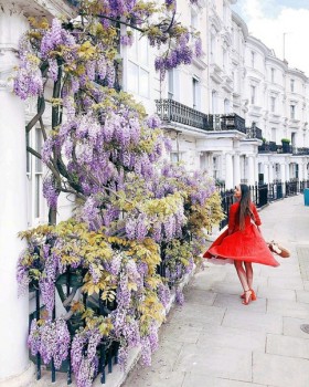 Доброго утра Хорошего дня Спокойной ночи  - 1544986443.jpg