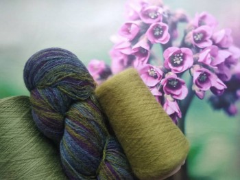 Слева направо меринос, кауни, мохер