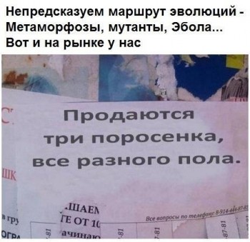 Из ВКонтактика с приветиком  - 1545810834.jpg