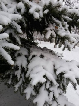 Поговорим о погоде - IMG-de36cba17bc0063a6022062b2de24cc5-V.jpg