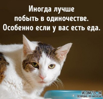 Из ВКонтактика с приветиком  - 1546023051.jpg