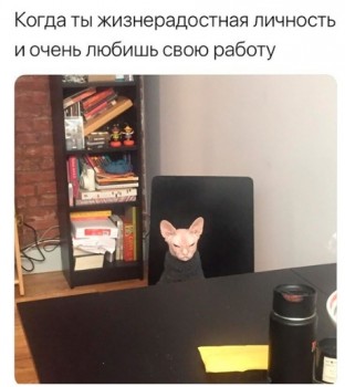 Из ВКонтактика с приветиком  - 1546021249.jpg