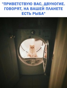 Из ВКонтактика с приветиком  - 1546190858.jpg