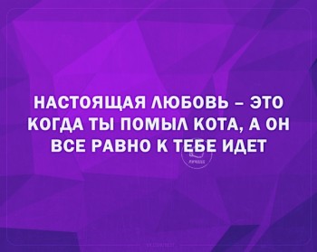 Из ВКонтактика с приветиком  - 1546371045.jpg