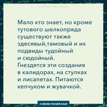 Из ВКонтактика с приветиком  - 1547530013.jpg