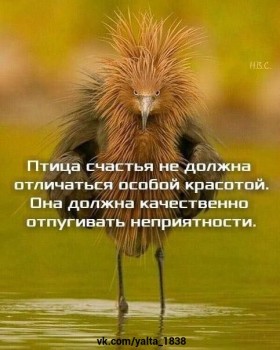 Из ВКонтактика с приветиком  - 1548429826.jpg