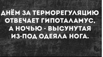 Из ВКонтактика с приветиком  - 1549085957.jpg