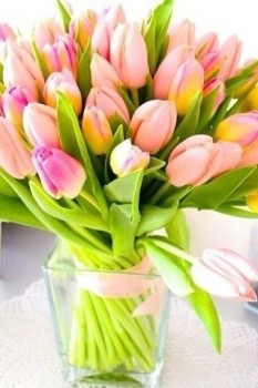 Ещё немного и весна девочки!