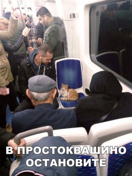 Из ВКонтактика с приветиком  - 1549629551.jpg