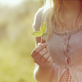 Аватарки. Наши интернет-лица-2 - 1871287_bryunetki.jpg