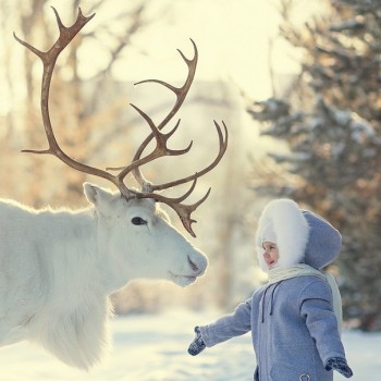 Смешные и милые, такие любимые - 1550649345.jpg