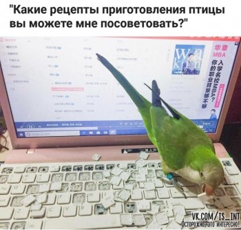 Из ВКонтактика с приветиком  - 1550551078.jpg