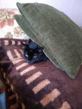 ВСЁ обо ВСЁМ или наши флудилки - 2 - IMG_20190424_125354.jpg