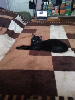 ВСЁ обо ВСЁМ или наши флудилки - 2 - IMG_20190430_175036.jpg