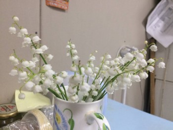 Декоративные садовые растения. - image.jpg