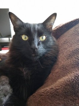 Кого из животных вы содержите? Фото приветствуется. - IMG_20190519_090336.jpg