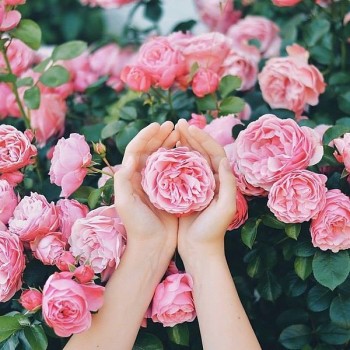 Аватарки. Наши интернет-лица-2 - 1555269188.jpg