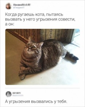 Из ВКонтактика с приветиком  - 5406215-76557760-c0e6ef755f3903780b4de060d676cb7f88299cf8-728-1-1559814514-728-d0f939d663-1559822188.jpg