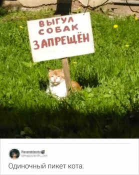 Из ВКонтактика с приветиком  - 5405715-76557610-657297fb60e5143384db8bd843c80788005094e2-728-1-1559814425-728-ccb6398597-1559822188.jpg