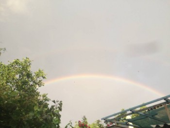 Поговорим о погоде - DA8F7150-3CFD-4E3C-83CE-C79130F44BE3.jpeg