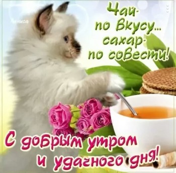 Доброго утра Хорошего дня Спокойной ночи  - IMG_20190613_101145.jpg