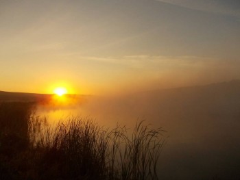 Доброго утра Хорошего дня Спокойной ночи  - 309615-6bd33ba43f27a87099ea4f72831535ef.jpg