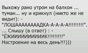 Из ВКонтактика с приветиком  - IMG_20190616_213154.jpg