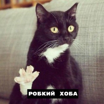 Из ВКонтактика с приветиком  - 1563957312.jpg