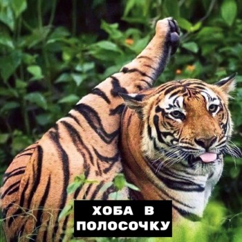 Из ВКонтактика с приветиком  - 1563957298.jpg