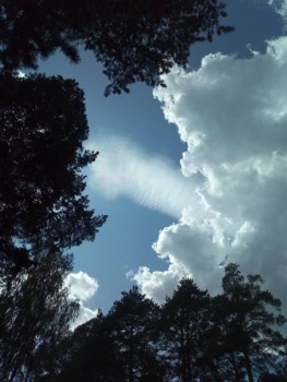 Чем сегодня занимались - IMG_20190810_143747.jpg