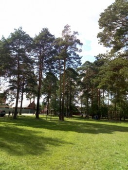 Чем сегодня занимались - IMG_20190810_143959.jpg