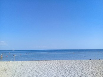 Чем сегодня занимались - 20190810_164009.jpg