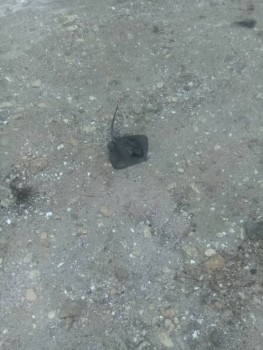 Чем сегодня занимались - 20190816_135213.jpg