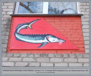 Посмотри .. стрит-арт - FB_IMG_1567220958073.jpg