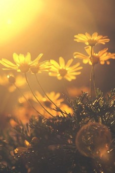 Доброго утра Хорошего дня Спокойной ночи  - 1567269119.jpg