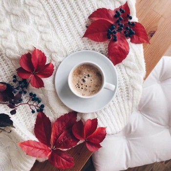 Доброго утра Хорошего дня Спокойной ночи  - 1567743672.jpg