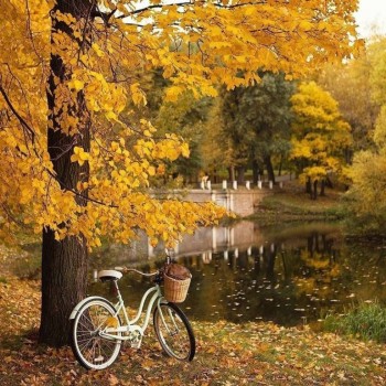 Аватарки. Наши интернет-лица-2 - 4ODq_anR02s.jpg