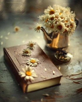 Доброго утра Хорошего дня Спокойной ночи  - 1568141331.jpg