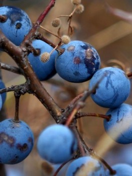 Доброго утра Хорошего дня Спокойной ночи  - 1568782323.jpg