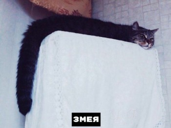 Из ВКонтактика с приветиком  - 1568834454.jpg