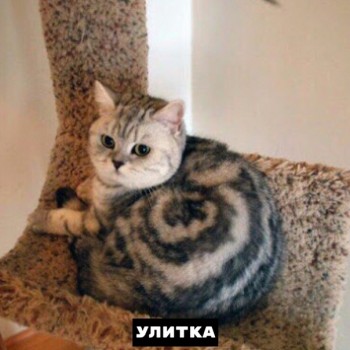 Из ВКонтактика с приветиком  - 1568834446.jpg