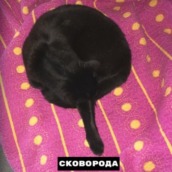 Из ВКонтактика с приветиком  - 1568834439.jpg