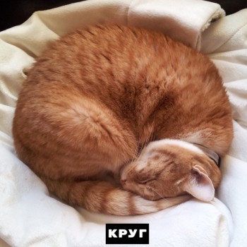 Из ВКонтактика с приветиком  - 1568834435.jpg