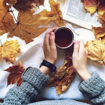 Аватарки. Наши интернет-лица-2 - 5cb36bf189ac896e0c1438c38d98bf813fc319fc.jpeg