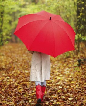 Аватарки. Наши интернет-лица-2 - 1443283167_1.jpg