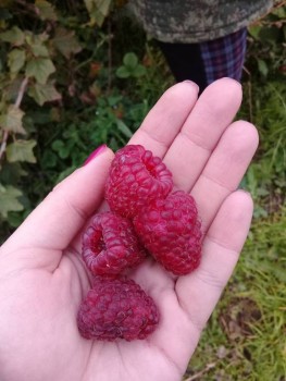 Чем сегодня занимались - 20190929_105347.jpg