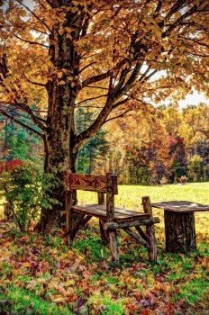 Доброго утра Хорошего дня Спокойной ночи  - 1570245265.jpg