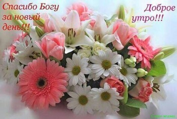 Доброго утра Хорошего дня Спокойной ночи  - 4191B20A-89A2-439A-8BD2-47D011E588F3.jpeg